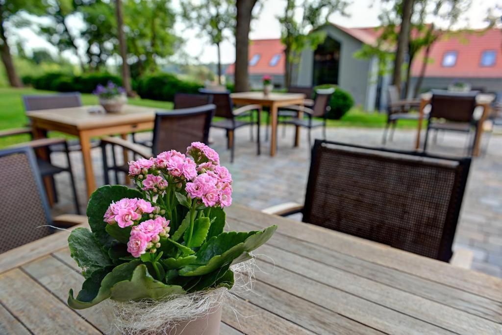 Arthotel Kiebitzberg Havelberg Exterior photo